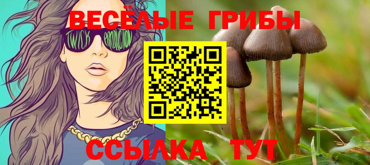 Псилоцибиновые грибы MAGIC MUSHROOMS Благодарный